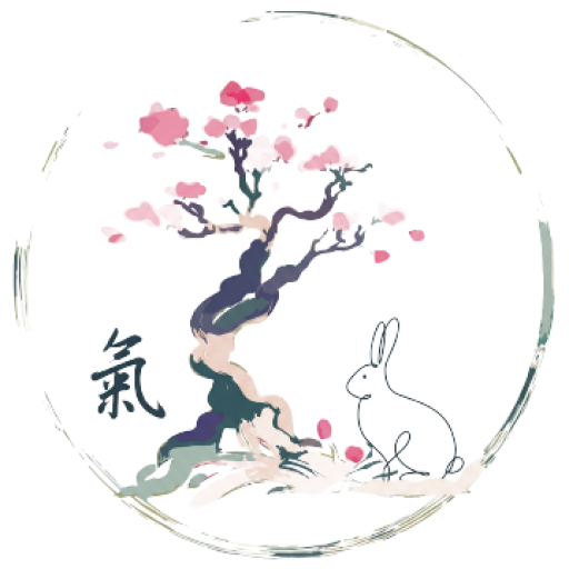 Espíritu ZhìNéng QìGōng