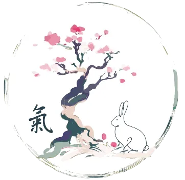 Espíritu ZhìNéng QìGōng